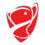 Türkiye Kupası logo